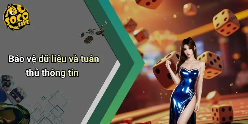Điều Khoản Điều Kiện
