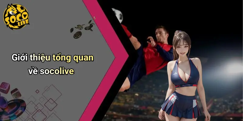 Giới thiệu 1 Giới Thiệu