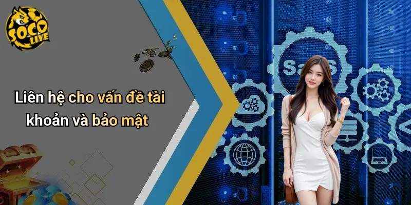 Liên Hệ