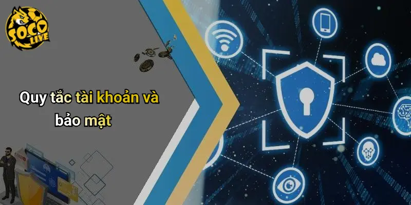Điều Khoản Điều Kiện