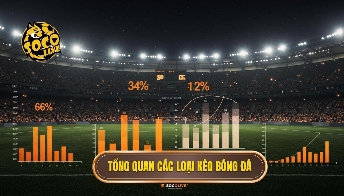 Phần 1_ Tổng Quan Về Các Loại Tỷ Lệ Kèo Bóng Đá Cơ Bản