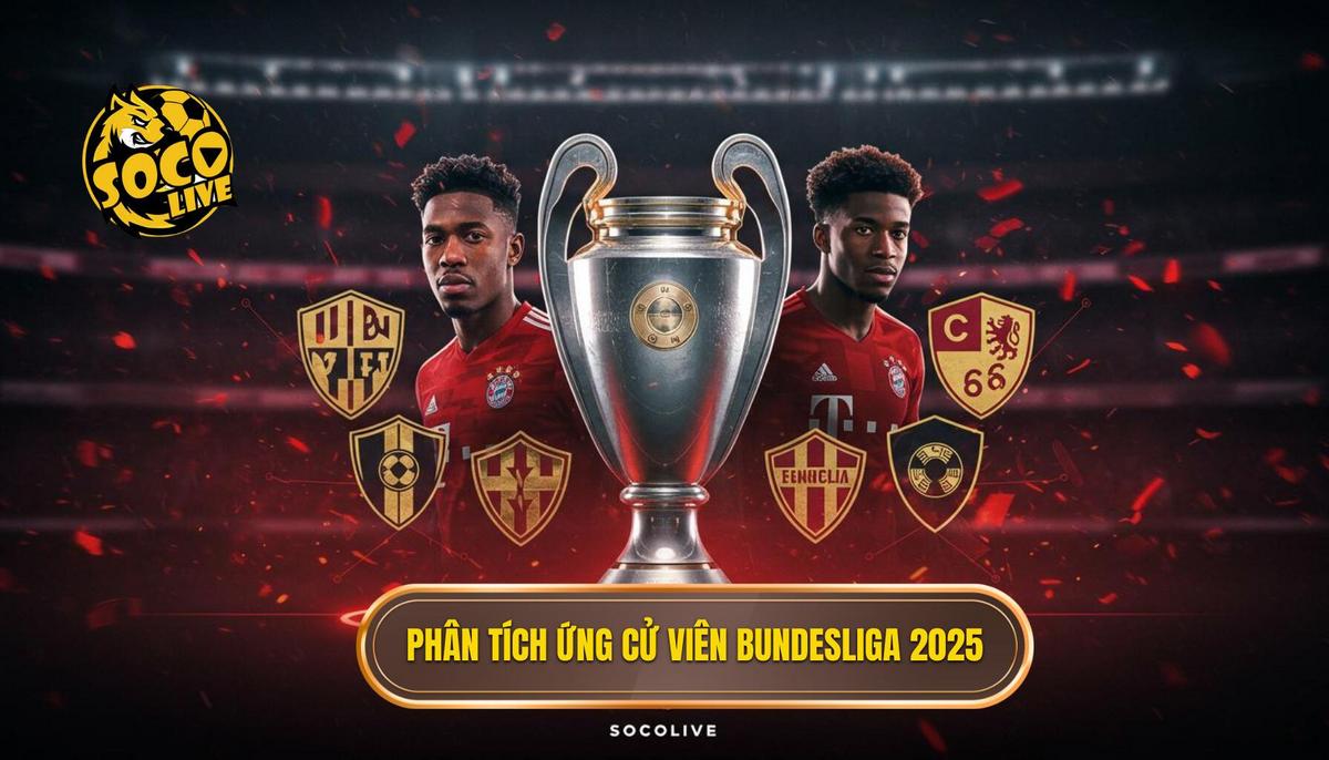 Phân Tích Sức Mạnh Các Ứng Cử Viên Hàng Đầu Trên Bảng Xếp Hạng Bundesliga 2025